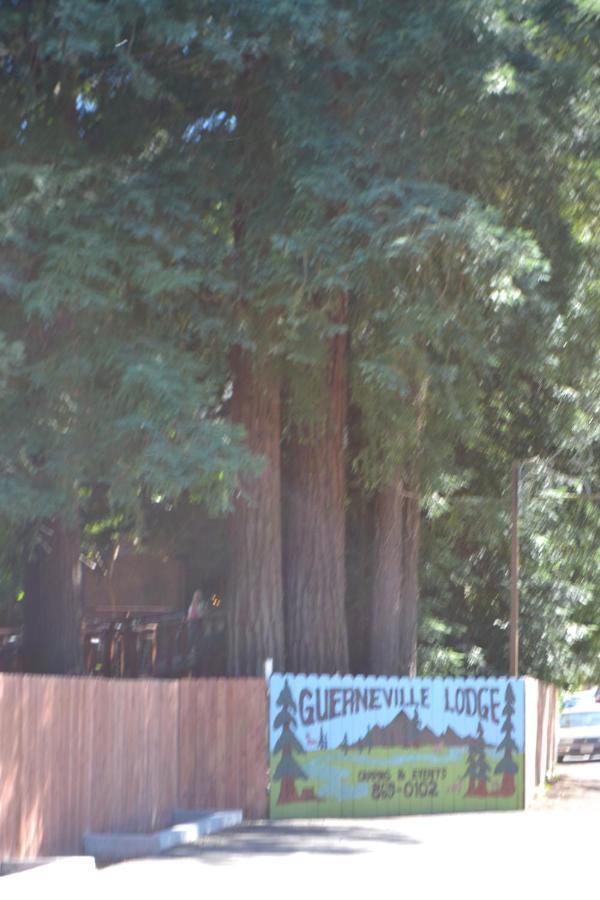 Guerneville Lodge Ngoại thất bức ảnh